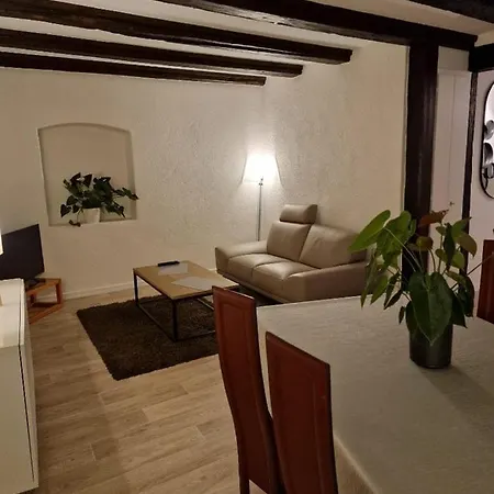 Daire New Loft Centre Vieille Ville, Vue Petite Venise Parking, Balcon 2 Colmar