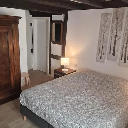 شقة New Loft Centre Vieille Ville, Vue Petite Venise Parking, Balcon 2 كولمار