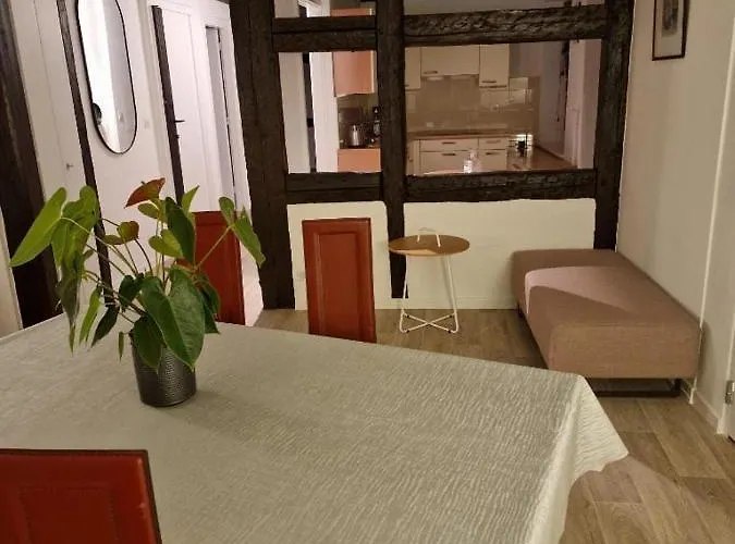 New Loft Centre Vieille Ville, Vue Petite Venise Parking, Balcon 2 Colmar