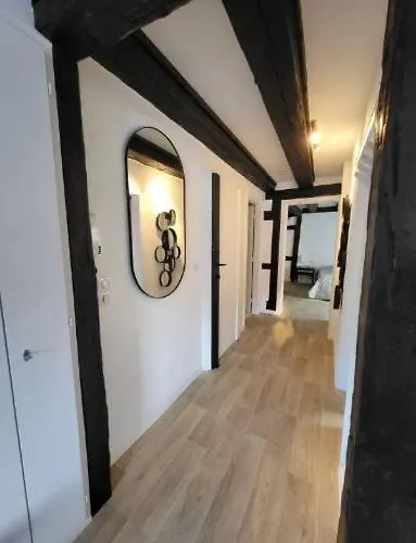 New Loft Centre Vieille Ville, Vue Petite Venise Parking, Balcon 2 Colmar