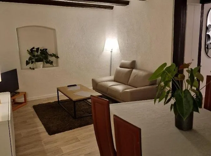Apartamento New Loft Centre Vieille Ville, Vue Petite Venise Parking, Balcon 2 Colmar
